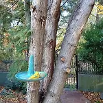 Appartamento Buekkoes Bird Szentendre