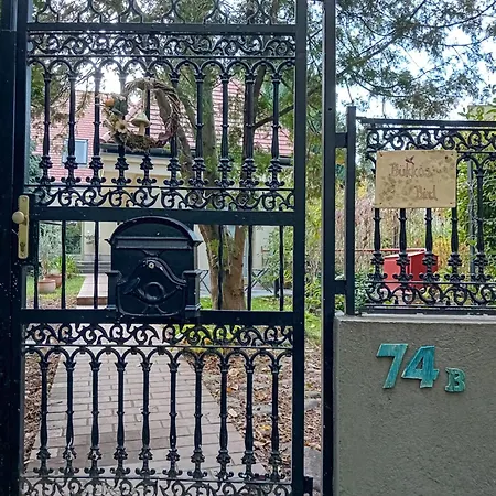 Bükkös Bird Daire Szentendre