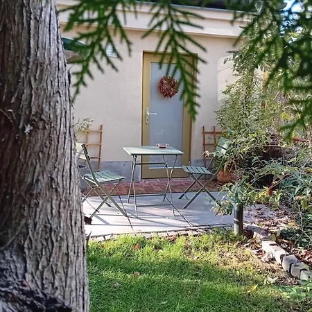 Bükkös Bird